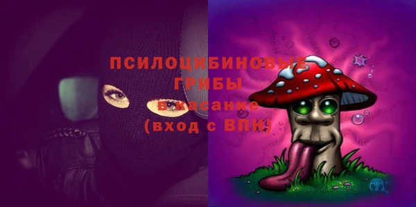 a pvp Новодвинск