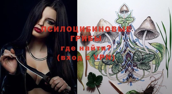 таблы Новокубанск