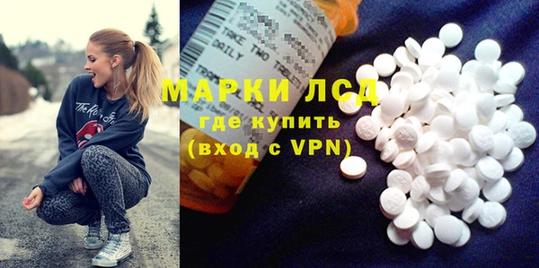a pvp Новодвинск