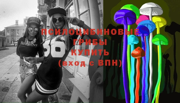 a pvp Новодвинск