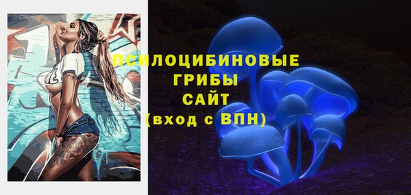 сатива Нефтегорск